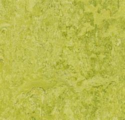 Forbo marmoleum real 3224 chartreuse i 200 cm bredde